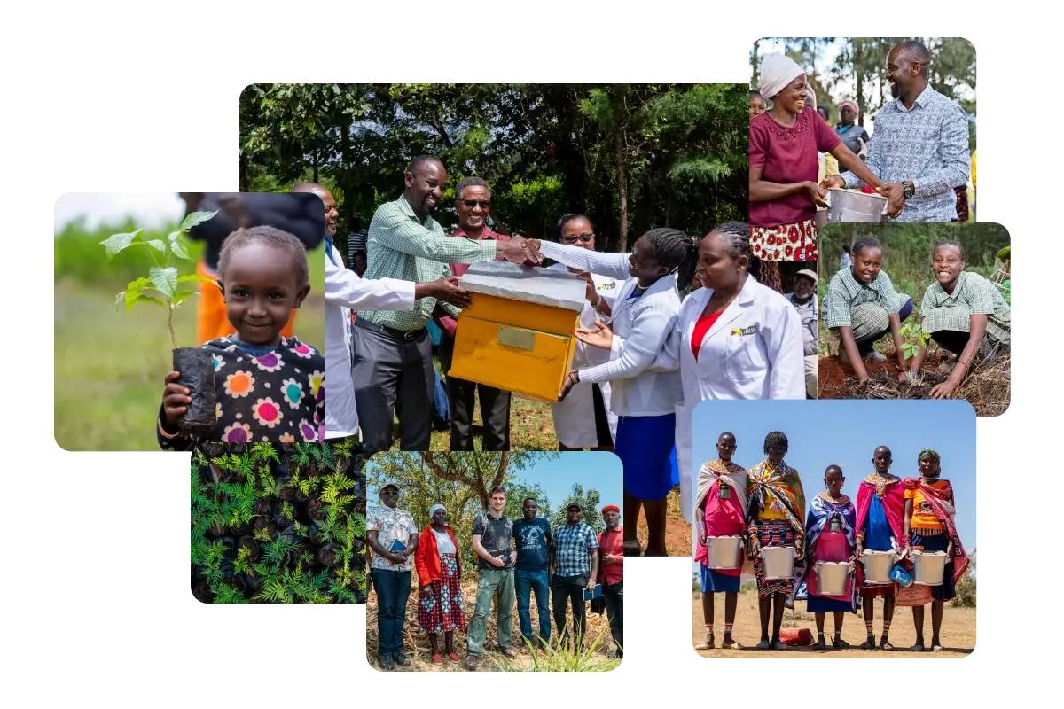 Green Earth Local Communities - Vintage Textures - Beautiful Desktop Collection